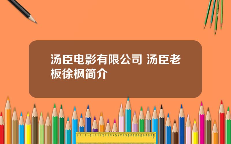 汤臣电影有限公司 汤臣老板徐枫简介